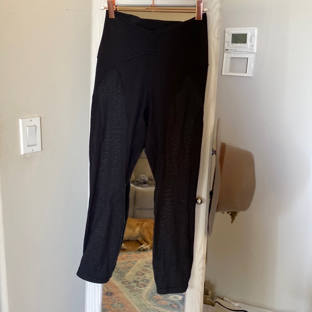 Unlimited Mesh 23”